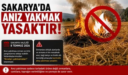 Sakarya’da Anız Yakmak Yasak Valilikten Vatandaşlara Uyarı