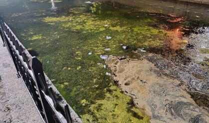 Uludere Çayı İçin Alarm Zilleri Çalıyor Hendek’in Ortasından Geçen Çay Kirlilikle Mücadele Ediyor