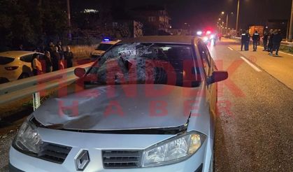 Hendek D-100'de Trafik Kazası 1 Kişi Yaşamını Yitirdi