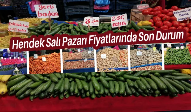 Hendek Salı Pazarı Fiyatlarında Son Durum