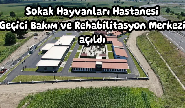 Sokak Hayvanları Hastanesi Geçici Bakım ve Rehabilitasyon Merkezi açıldı