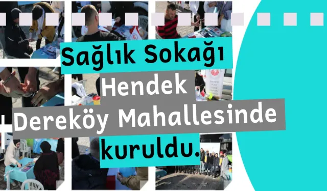 Sağlık Sokağı Hendek Dereköy Mahallesinde kuruldu.