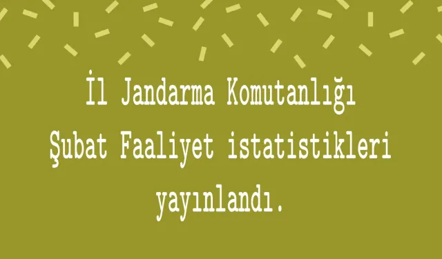 İl Jandarma Komutanlığı Şubat Faaliyet istatistikleri yayınlandı.