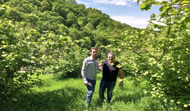 Hendek'te Fındık üreticisini ziyaret ettiler