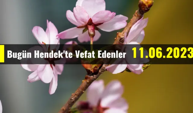 Bugün Hendek'te Vefat Edenler 11 - 06 - 2023