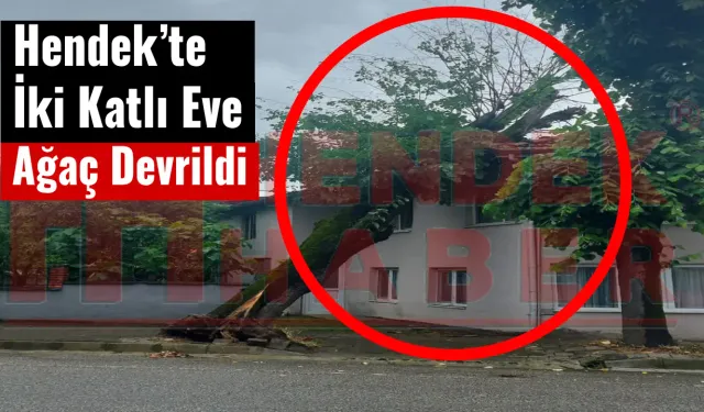 Hendek’te İki Katlı Eve Ağaç Devrildi