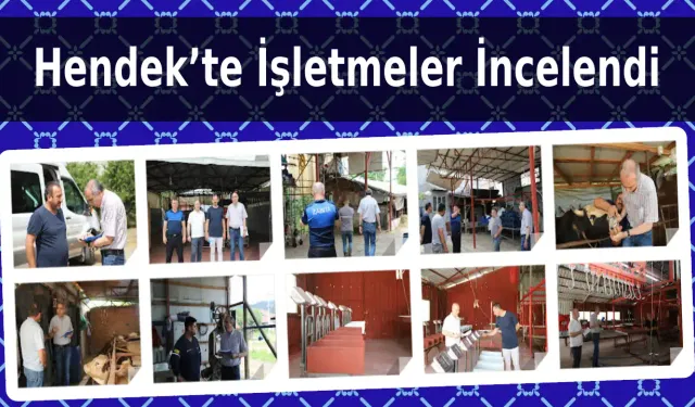 Hendek’te İşletmeler İncelendi