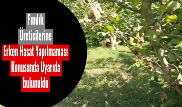 Fındık Üreticilerine Erken Hasat Yapılmaması Konusunda Uyarıda bulunuldu