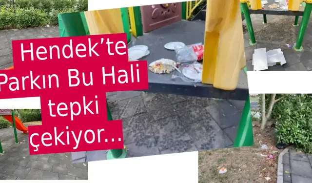 Hendek’te Parkın Bu Hali vatandaşı Çileden Çıkardı