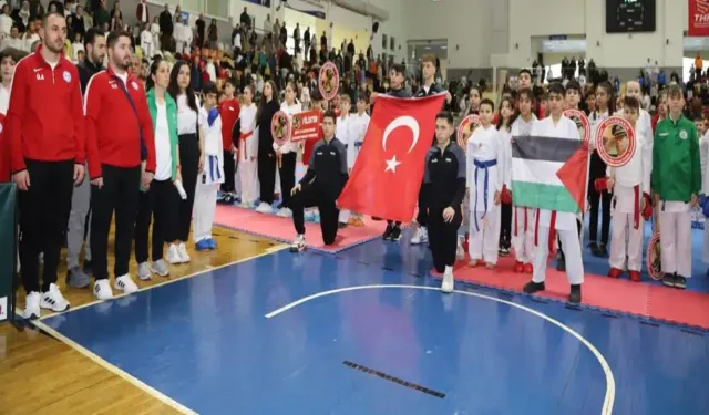 Hendekli Şehit Ali Gaffar Okkan İller Arası Karate Turnuvası Tamamlandı