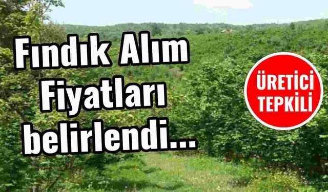 Fındık Alım  Fiyatları  belirlendi...