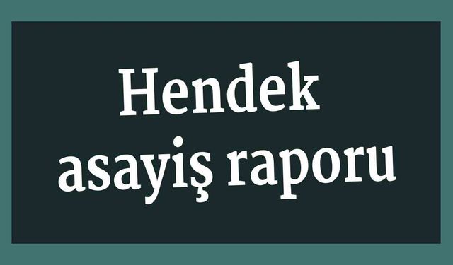 Hendek asayiş raporu