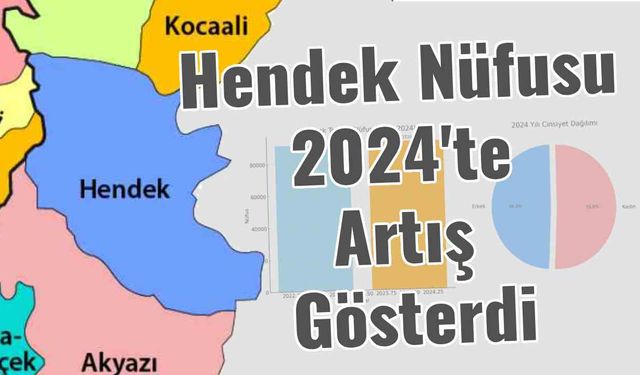 Hendek Nüfusu 2024'te Artış Gösterdi