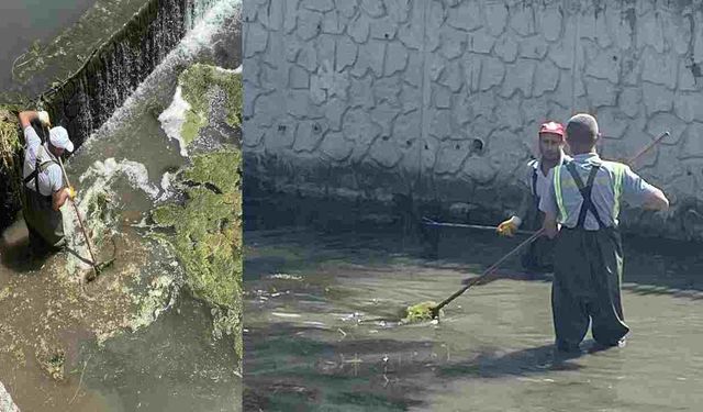 Hendek Uludere , Dere Yatağı Çöplerden Arındırılıyor