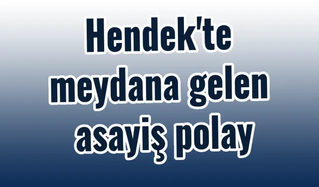 Hendek’te Asayiş: Trafik Kazaları ve Alkollü Sürüş Olayı