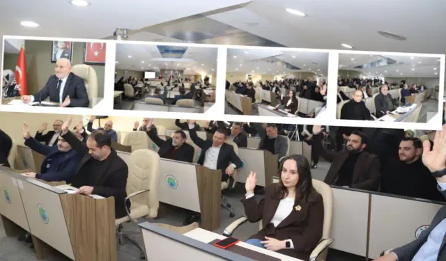 Hendek'te madeler karara bağlandı