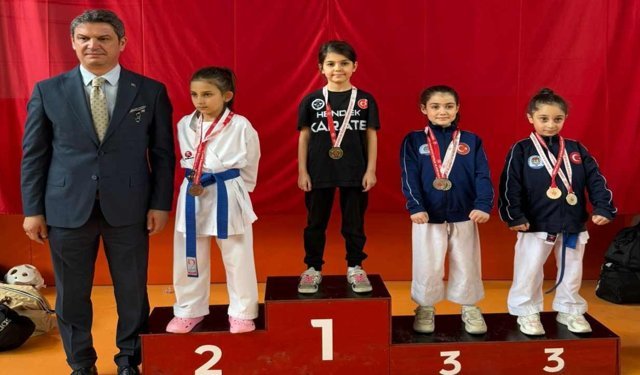 Hendek Olimpik Spor Kulübü’nden Geyve’de 36 madalya