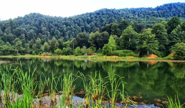 Hendek Yürüyüş Takvimindeki Öne Çıkan Rota