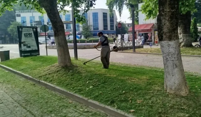 Hendek ilçe merkezinde ot temizliği sürüyor...
