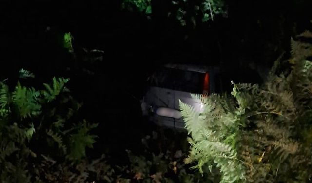 Bayraktepe Yolunda Kaza Araç Yoldan Çıkarak Çalılığa Girdi