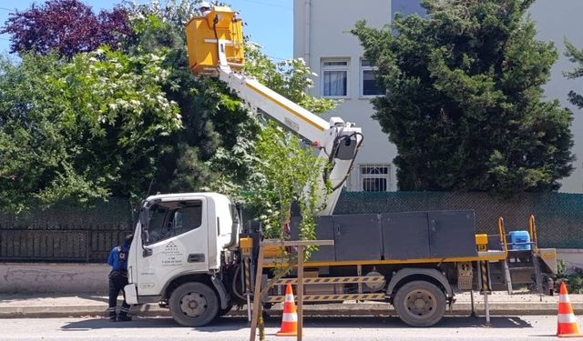 Hendek Yeni Mahalle’de SEDAŞ Çalışması ve Kesinti