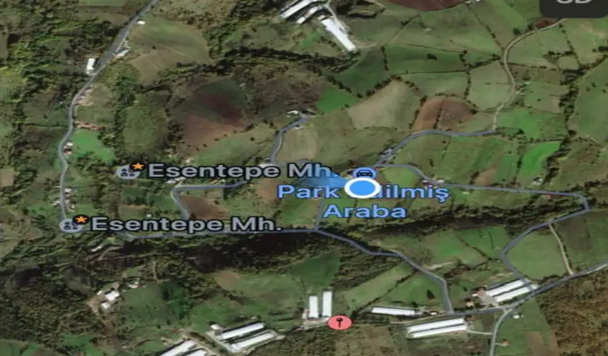 Hendek Esentepe Mahallesi Yolları İçin Muhtar Serbest'ten Çağrı