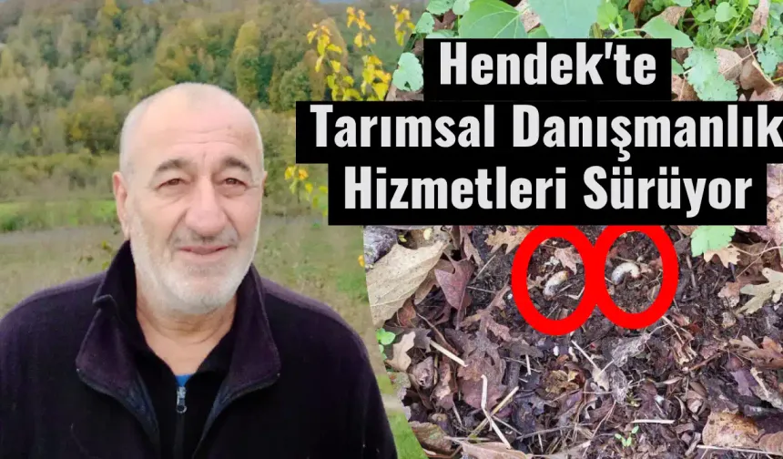 Hendek'te Tarımsal Danışmanlık Hizmetleri Sürüyor