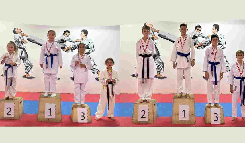 Hendek Karate Spor Kulübü'nden Dostluk Turnuvası