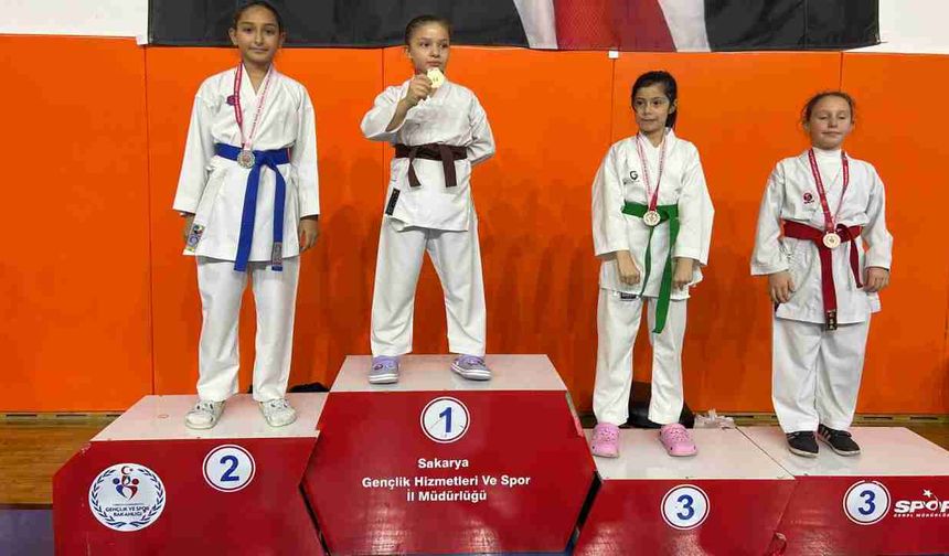 Hendek Karate Spor Kulübü 29 Ekim Cumhuriyet Kupası’ndan madalyalarla döndü