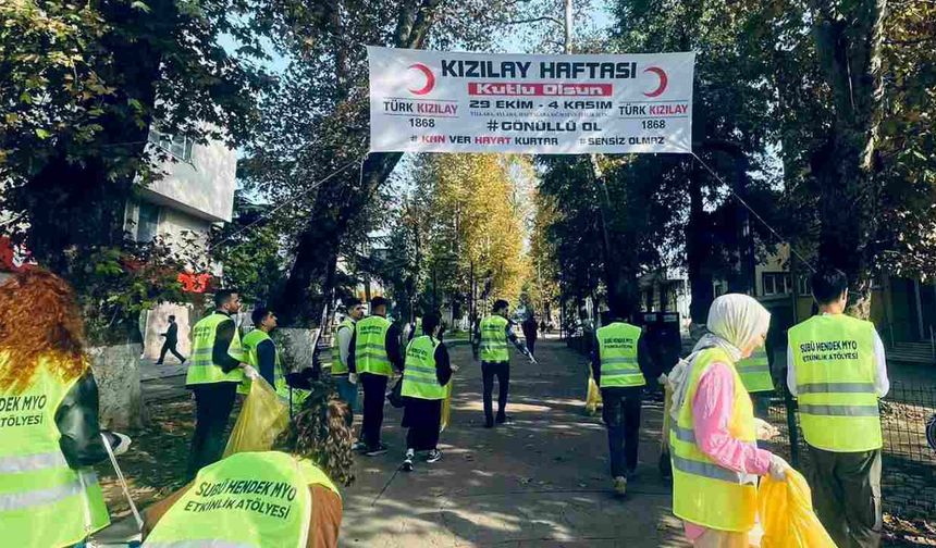 Hendek Muammer Sencer Caddesi’nde çevre temizliği gerçekleştirdiler