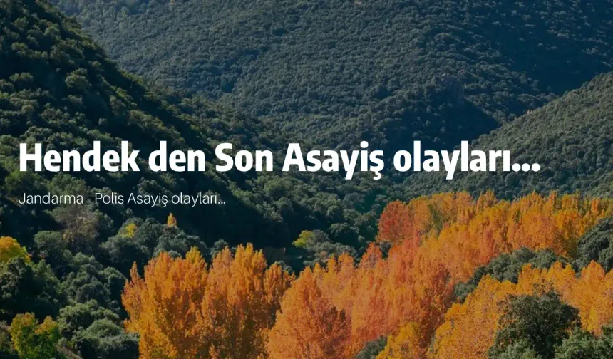 Hendek den Son Asayiş olayları...