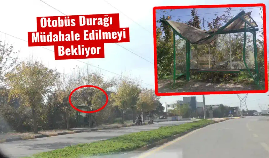 Otobüs Durağı Müdahale Edilmeyi Bekliyor