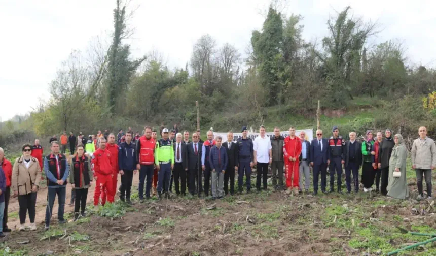 Hendek Paşaköy de Fidanlar Toprakla Buluştu