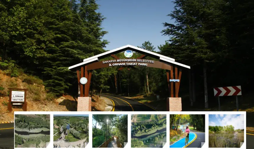 2025'te Sakarya'da bu alanlar doğa severlerin rotası oldu