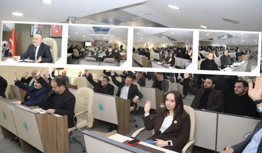 Hendek'te madeler kara başlandı...