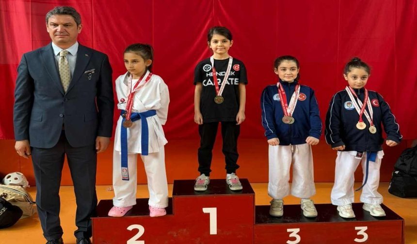 Hendek Olimpik Spor Kulübü’nden Geyve’de 36 madalya