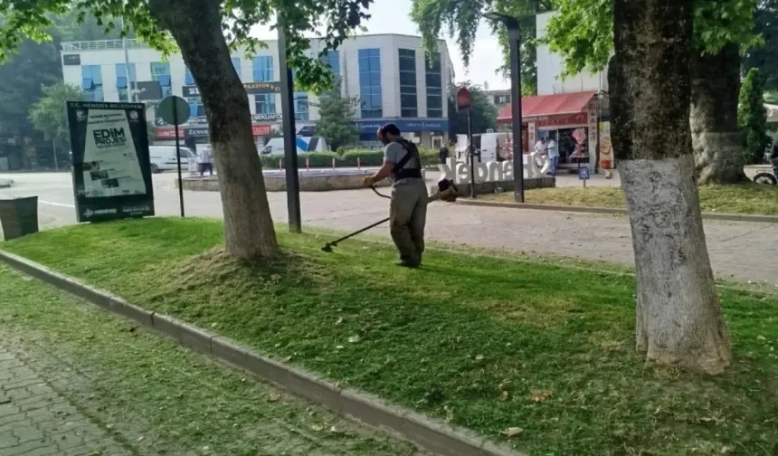 Hendek ilçe merkezinde ot temizliği sürüyor...