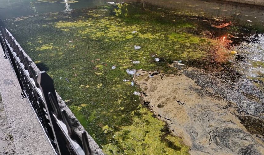Uludere Çayı İçin Alarm Zilleri Çalıyor Hendek’in Ortasından Geçen Çay Kirlilikle Mücadele Ediyor