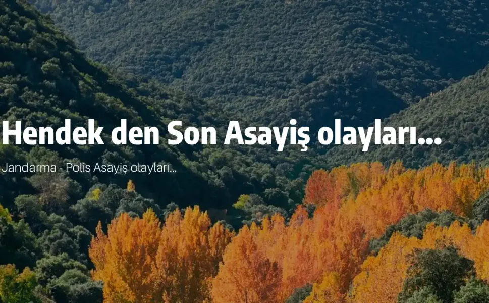 Hendek den Son Asayiş olayları...