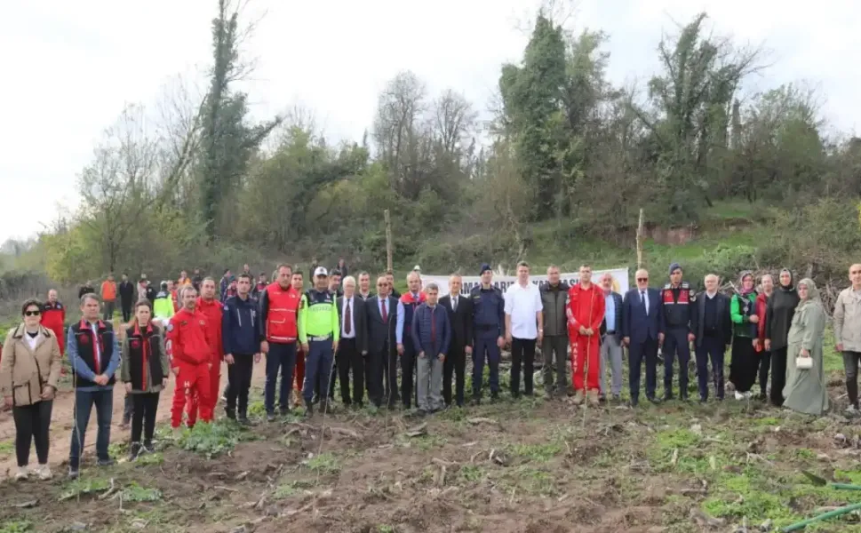Hendek Paşaköy de Fidanlar Toprakla Buluştu