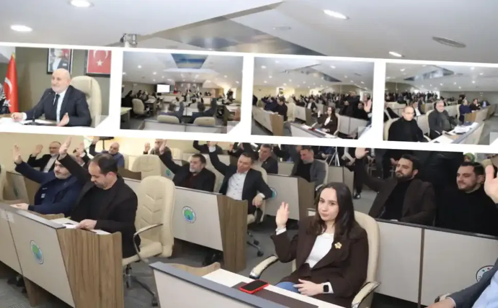 Hendek'te madeler kara başlandı...