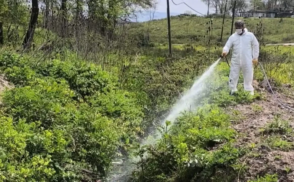 Hendek de Sinek ve Haşerelere Karşı Önlem alınıyor