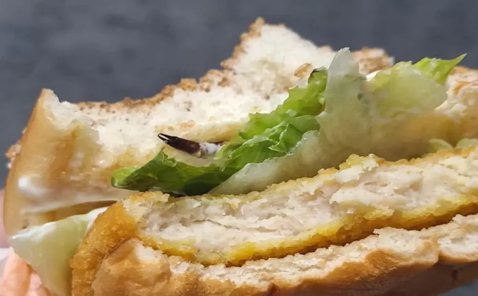 Hendek'te Şok İddia: Hamburgerden Böcek Çıktı