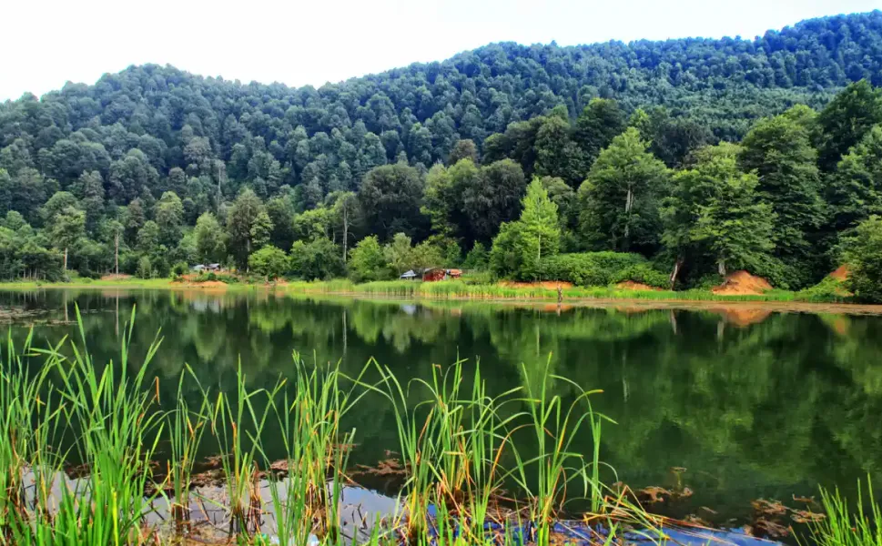 Hendek Yürüyüş Takvimindeki Öne Çıkan Rota