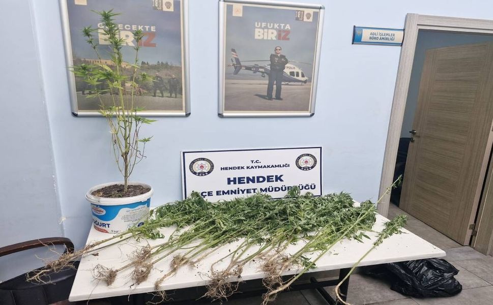Bayraktepe Mahallesi’nde 20 Kök Hint Keneviri Ele Geçirildi