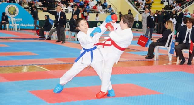 Gaffar Okkan Karate Turnuvası Yapıldı - 2017