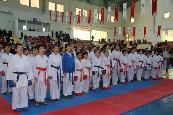 417 Sporcu Müsabakalara, Sakarya, Bursa, Yalova, İzmit, Bolu, Düzce, Tekirdağ, Eskişehir, İstanbul ve Hendek Belediyesi Karate Kulübü sporcuları olmak üzere 417 sporcu katıldı. Cumartesi günü sabah saat 10.00´da başlayan karate müsabakaları sonunda dereceye giren sporculara ödül töreni yapıldı.