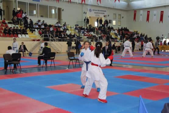 Gaffar Okkan Karate Turnuvası sona erdi Gençlik hizmetleri ve Spor İl Müdürlüğü ile Hendek Belediyesi organizasyonluğunda yapılan  Karate turnuvasına  417 sporcu katıldı.