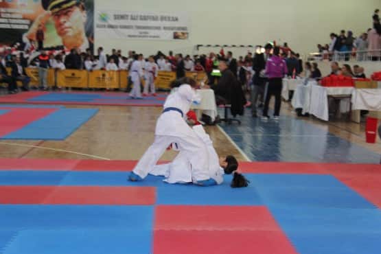 Gaffar Okkan Karate Turnuvası sona erdi Gençlik hizmetleri ve Spor İl Müdürlüğü ile Hendek Belediyesi organizasyonluğunda yapılan  Karate turnuvasına  417 sporcu katıldı.