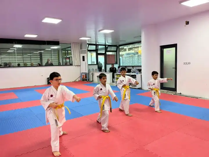 Hendek Karate Takımı Sporcularına Terfi Töreni Yapıldı
